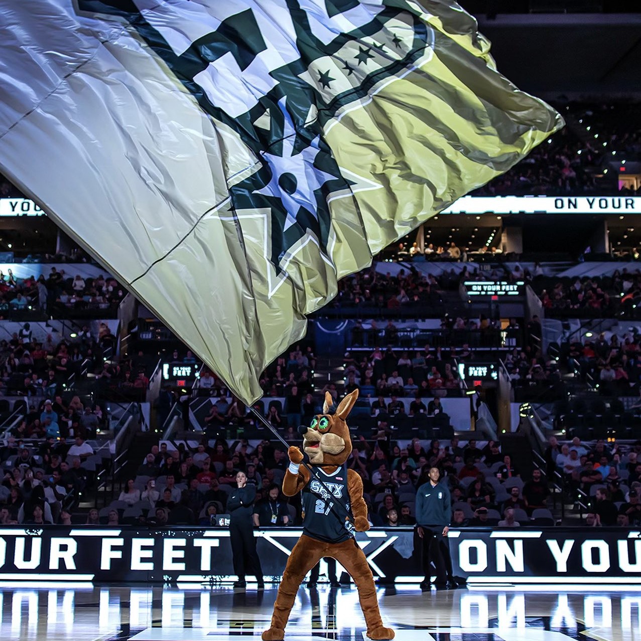 广阔的未来 广阔的未来